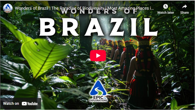 Wonders of Brazil The wonders of brazil